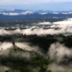 Assam tourist spots - Misty Mountain